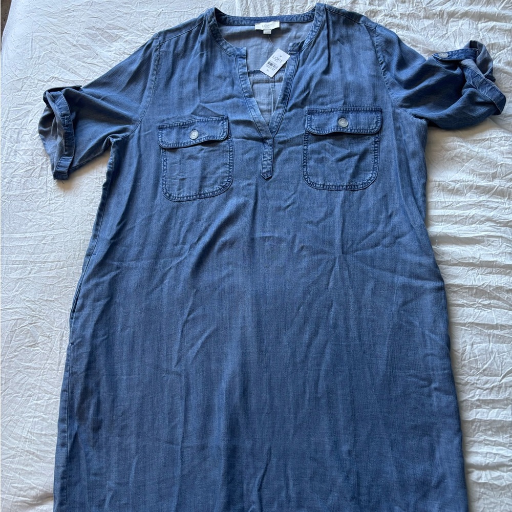 Blue Denim Shirt Dress